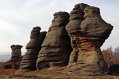 猫咪拆家游戏《暴力喵喵拳》9月推出强化重制版